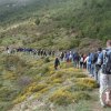 marcha_senderismo2014 (118)